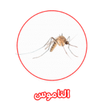 الألمانية لمكافحة الناموس
