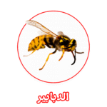 الألمانية لمكافحة الدبابير