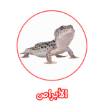 الألمانية لمكافحة الأبراص